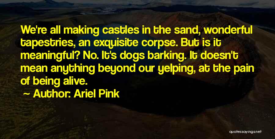 Ariel Pink Quotes: We're All Making Castles In The Sand, Wonderful Tapestries, An Exquisite Corpse. But Is It Meaningful? No. It's Dogs Barking.