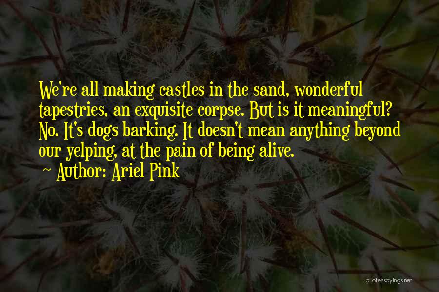 Ariel Pink Quotes: We're All Making Castles In The Sand, Wonderful Tapestries, An Exquisite Corpse. But Is It Meaningful? No. It's Dogs Barking.