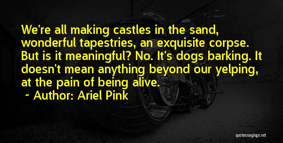 Ariel Pink Quotes: We're All Making Castles In The Sand, Wonderful Tapestries, An Exquisite Corpse. But Is It Meaningful? No. It's Dogs Barking.