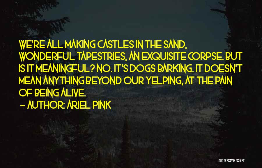 Ariel Pink Quotes: We're All Making Castles In The Sand, Wonderful Tapestries, An Exquisite Corpse. But Is It Meaningful? No. It's Dogs Barking.