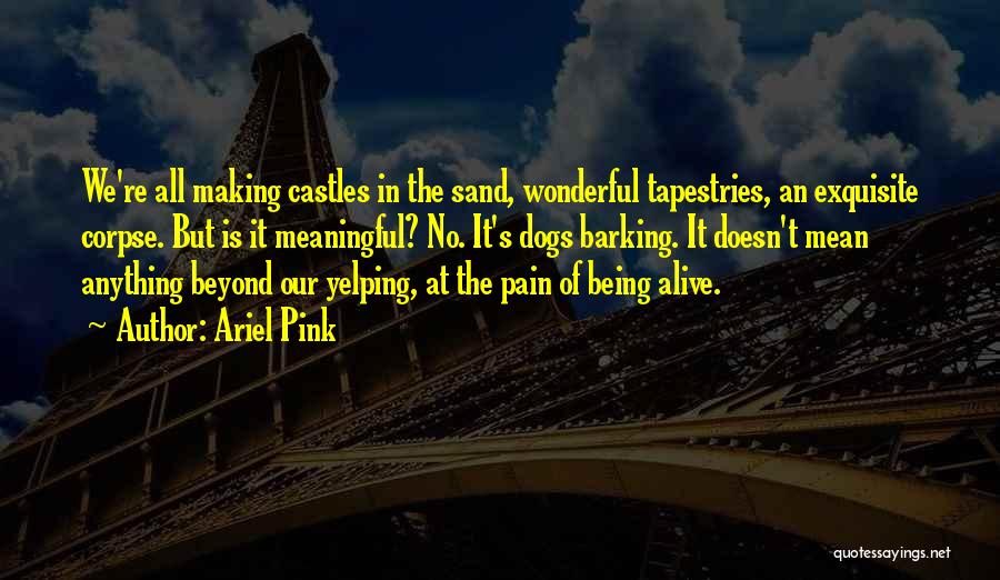 Ariel Pink Quotes: We're All Making Castles In The Sand, Wonderful Tapestries, An Exquisite Corpse. But Is It Meaningful? No. It's Dogs Barking.