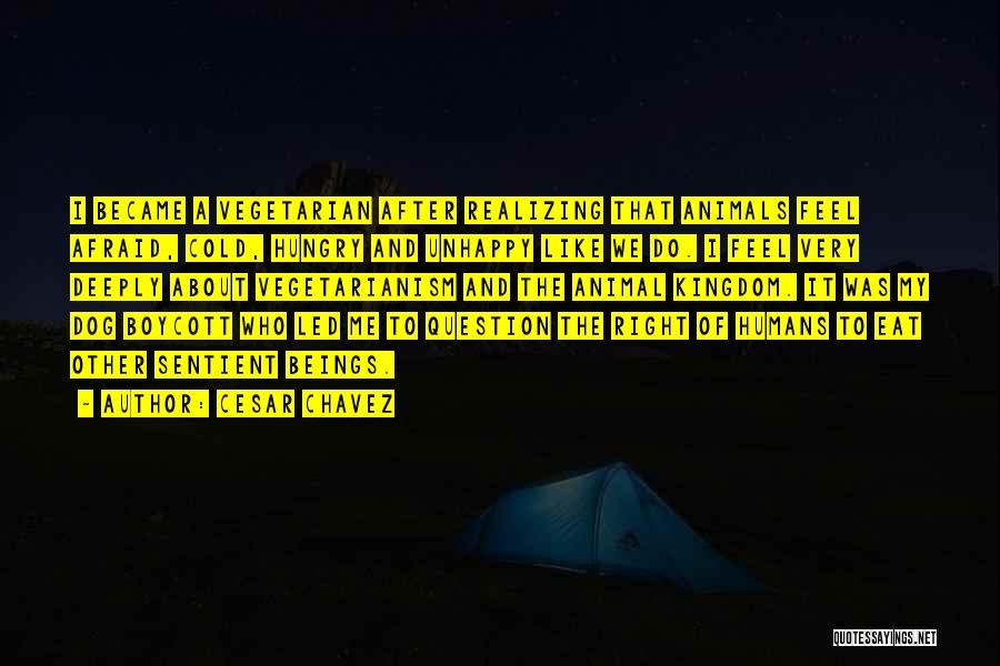 Cesar Chavez Quotes: I Became A Vegetarian After Realizing That Animals Feel Afraid, Cold, Hungry And Unhappy Like We Do. I Feel Very