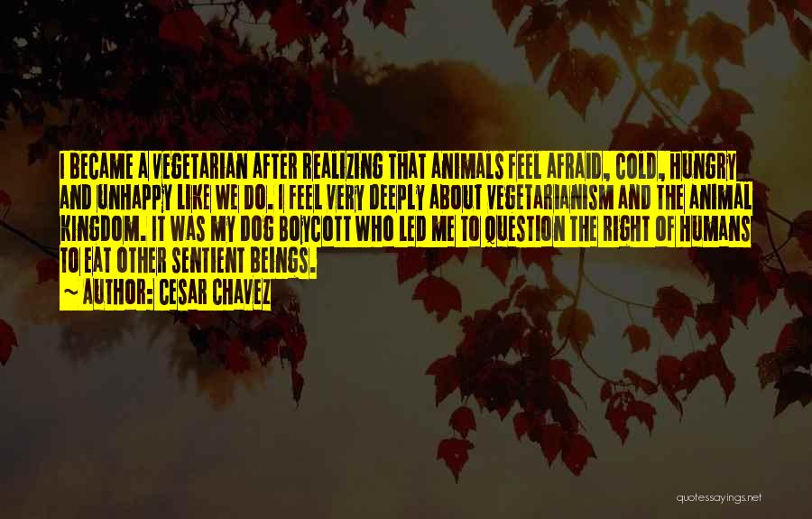 Cesar Chavez Quotes: I Became A Vegetarian After Realizing That Animals Feel Afraid, Cold, Hungry And Unhappy Like We Do. I Feel Very