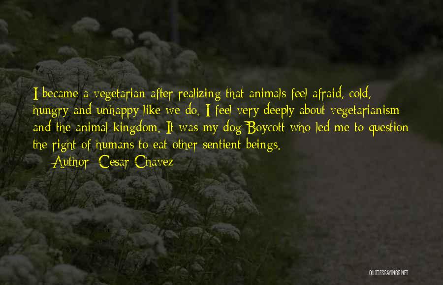 Cesar Chavez Quotes: I Became A Vegetarian After Realizing That Animals Feel Afraid, Cold, Hungry And Unhappy Like We Do. I Feel Very