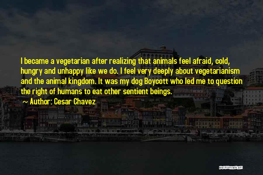 Cesar Chavez Quotes: I Became A Vegetarian After Realizing That Animals Feel Afraid, Cold, Hungry And Unhappy Like We Do. I Feel Very