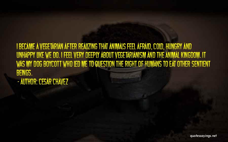 Cesar Chavez Quotes: I Became A Vegetarian After Realizing That Animals Feel Afraid, Cold, Hungry And Unhappy Like We Do. I Feel Very