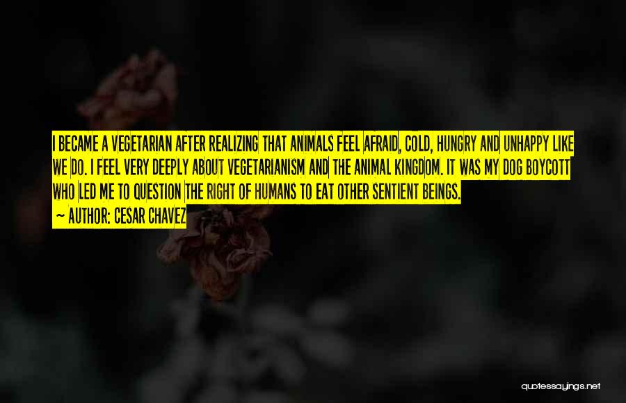 Cesar Chavez Quotes: I Became A Vegetarian After Realizing That Animals Feel Afraid, Cold, Hungry And Unhappy Like We Do. I Feel Very