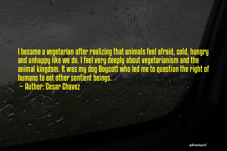 Cesar Chavez Quotes: I Became A Vegetarian After Realizing That Animals Feel Afraid, Cold, Hungry And Unhappy Like We Do. I Feel Very