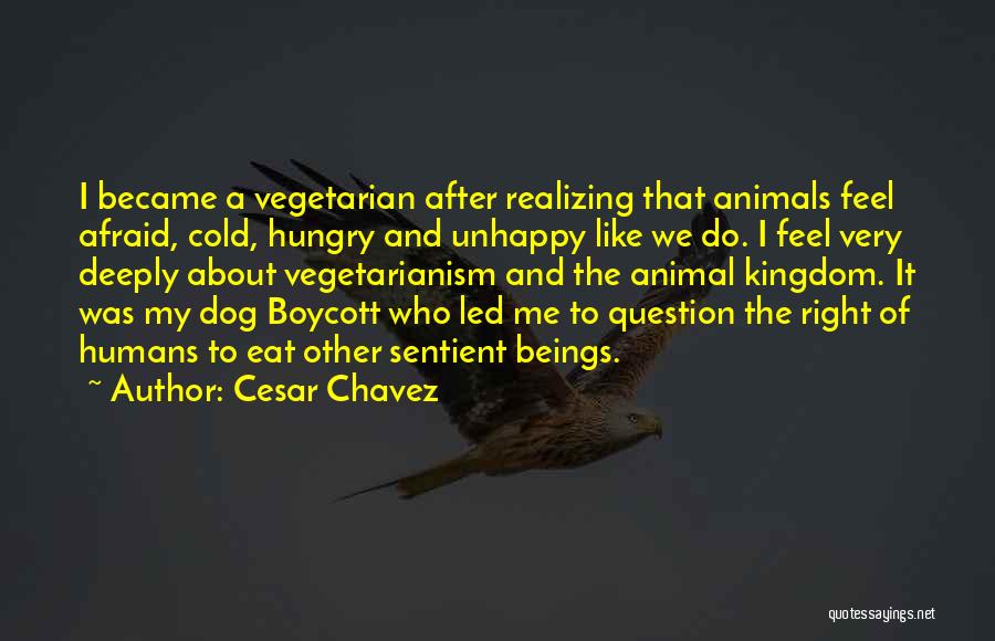 Cesar Chavez Quotes: I Became A Vegetarian After Realizing That Animals Feel Afraid, Cold, Hungry And Unhappy Like We Do. I Feel Very