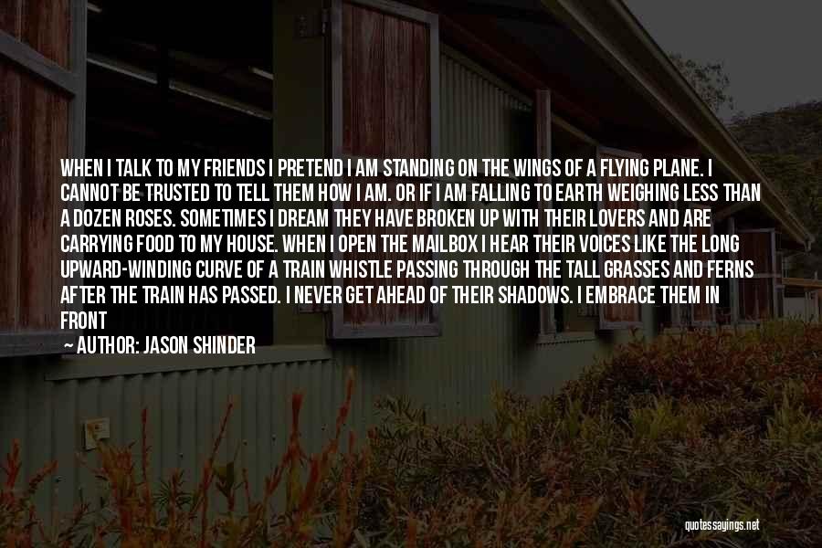 Jason Shinder Quotes: When I Talk To My Friends I Pretend I Am Standing On The Wings Of A Flying Plane. I Cannot