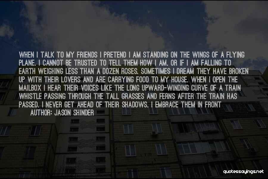 Jason Shinder Quotes: When I Talk To My Friends I Pretend I Am Standing On The Wings Of A Flying Plane. I Cannot