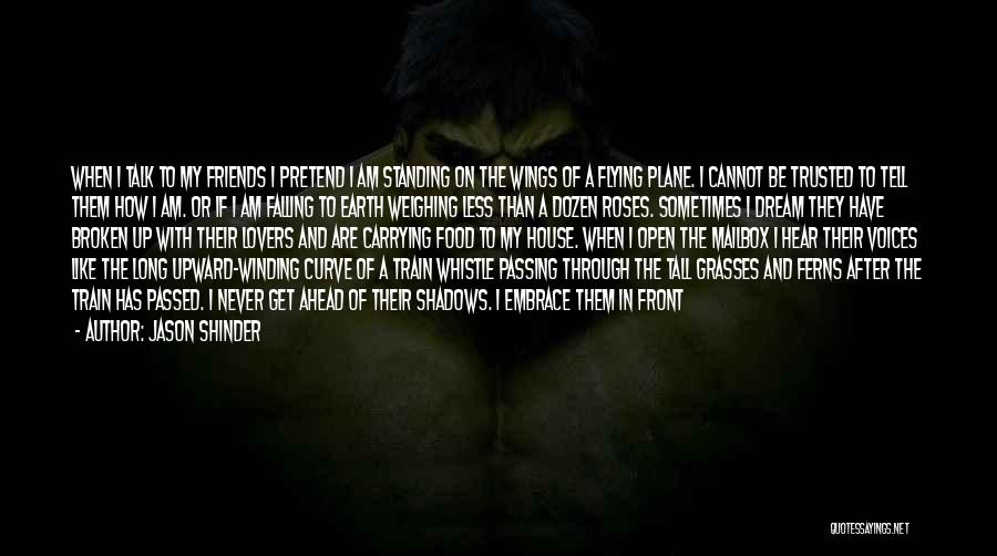 Jason Shinder Quotes: When I Talk To My Friends I Pretend I Am Standing On The Wings Of A Flying Plane. I Cannot