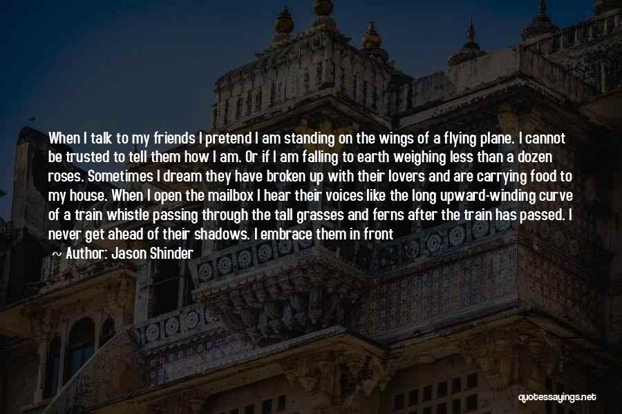 Jason Shinder Quotes: When I Talk To My Friends I Pretend I Am Standing On The Wings Of A Flying Plane. I Cannot