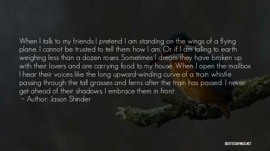 Jason Shinder Quotes: When I Talk To My Friends I Pretend I Am Standing On The Wings Of A Flying Plane. I Cannot