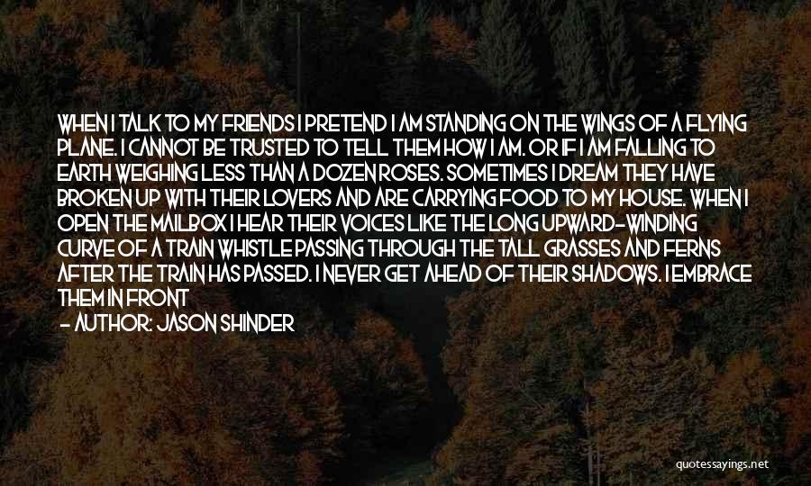 Jason Shinder Quotes: When I Talk To My Friends I Pretend I Am Standing On The Wings Of A Flying Plane. I Cannot