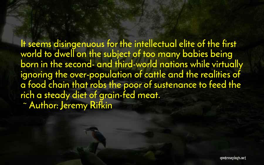 Jeremy Rifkin Quotes: It Seems Disingenuous For The Intellectual Elite Of The First World To Dwell On The Subject Of Too Many Babies