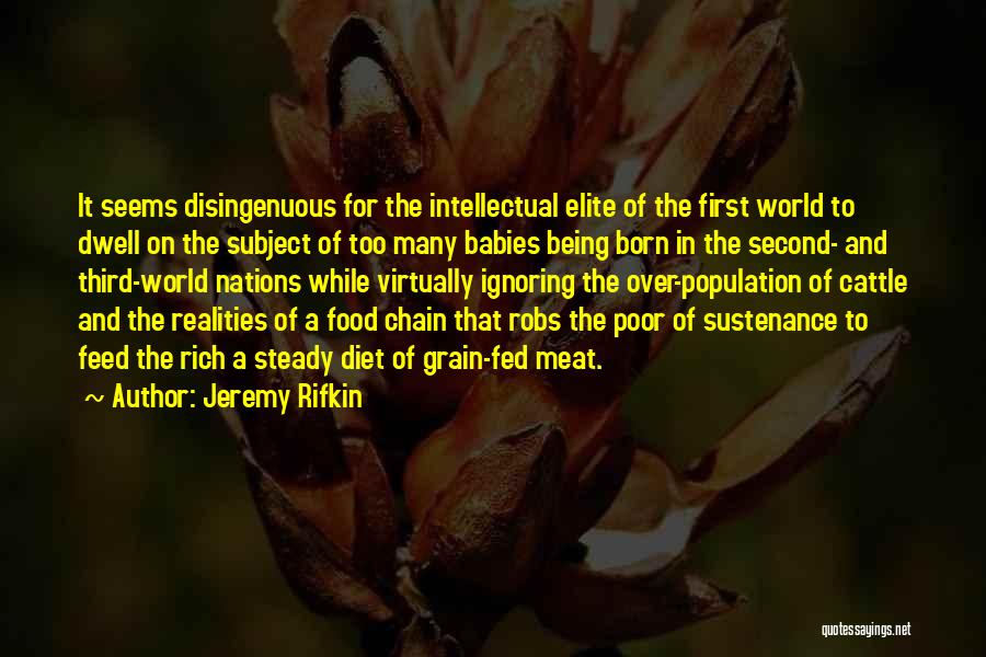 Jeremy Rifkin Quotes: It Seems Disingenuous For The Intellectual Elite Of The First World To Dwell On The Subject Of Too Many Babies