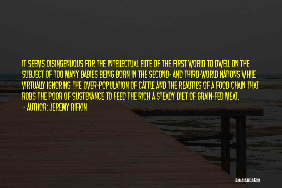 Jeremy Rifkin Quotes: It Seems Disingenuous For The Intellectual Elite Of The First World To Dwell On The Subject Of Too Many Babies