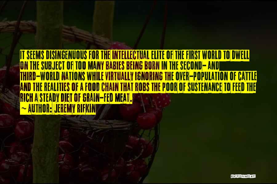 Jeremy Rifkin Quotes: It Seems Disingenuous For The Intellectual Elite Of The First World To Dwell On The Subject Of Too Many Babies