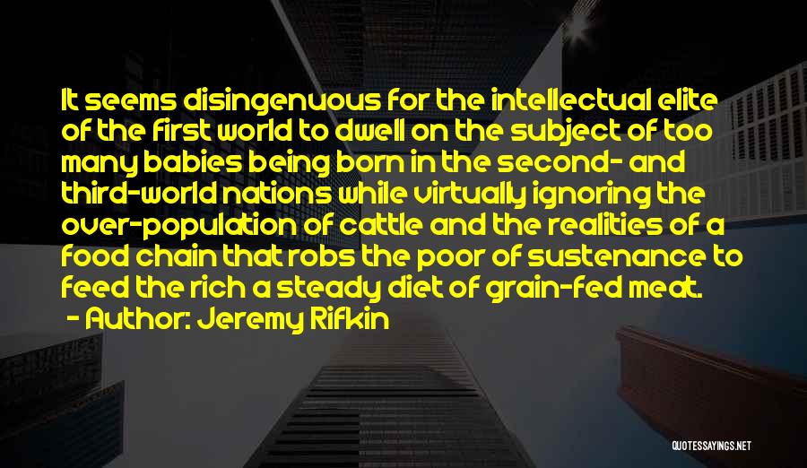 Jeremy Rifkin Quotes: It Seems Disingenuous For The Intellectual Elite Of The First World To Dwell On The Subject Of Too Many Babies