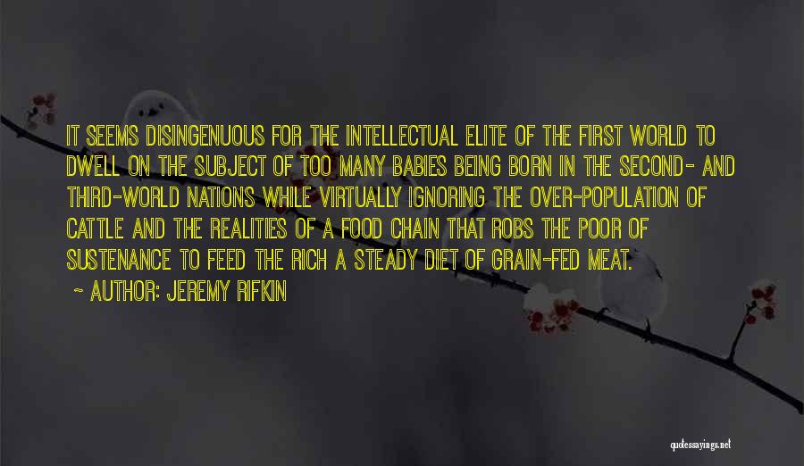 Jeremy Rifkin Quotes: It Seems Disingenuous For The Intellectual Elite Of The First World To Dwell On The Subject Of Too Many Babies