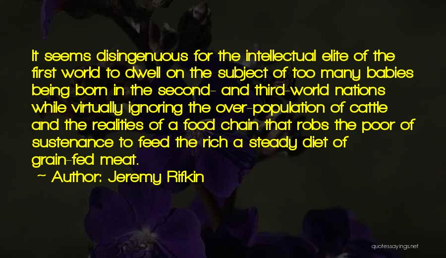 Jeremy Rifkin Quotes: It Seems Disingenuous For The Intellectual Elite Of The First World To Dwell On The Subject Of Too Many Babies