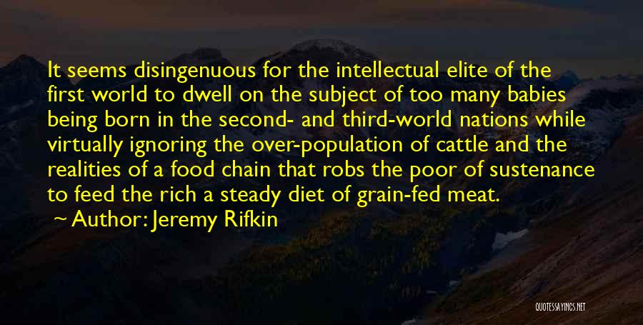 Jeremy Rifkin Quotes: It Seems Disingenuous For The Intellectual Elite Of The First World To Dwell On The Subject Of Too Many Babies