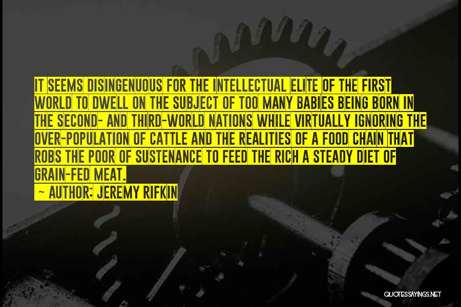 Jeremy Rifkin Quotes: It Seems Disingenuous For The Intellectual Elite Of The First World To Dwell On The Subject Of Too Many Babies