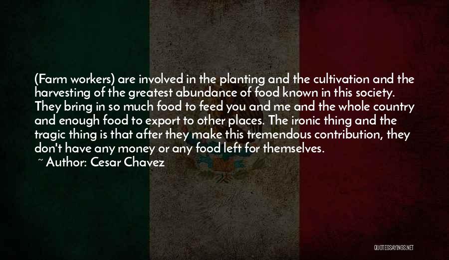 Cesar Chavez Quotes: (farm Workers) Are Involved In The Planting And The Cultivation And The Harvesting Of The Greatest Abundance Of Food Known