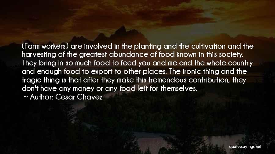 Cesar Chavez Quotes: (farm Workers) Are Involved In The Planting And The Cultivation And The Harvesting Of The Greatest Abundance Of Food Known