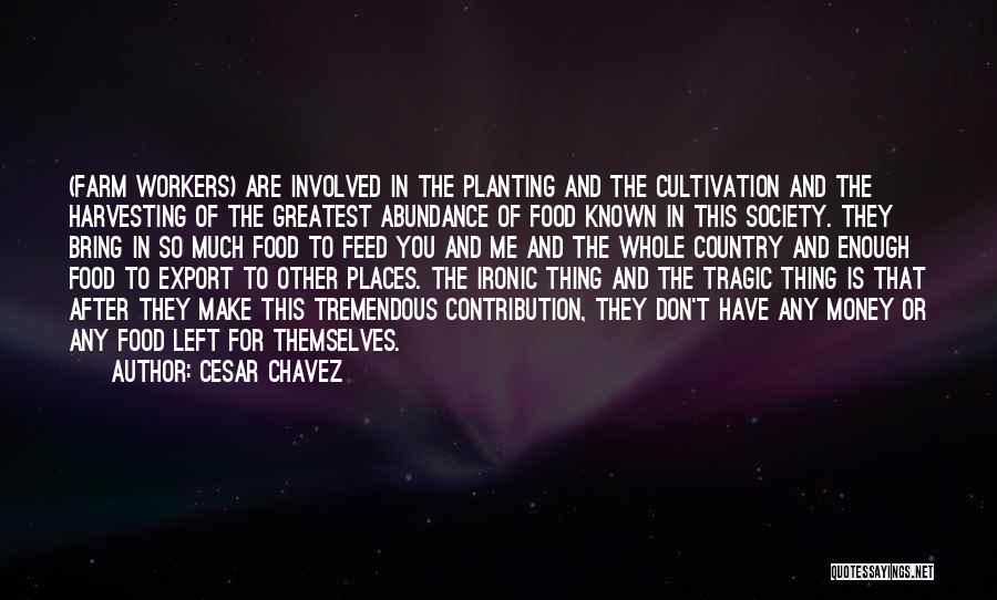 Cesar Chavez Quotes: (farm Workers) Are Involved In The Planting And The Cultivation And The Harvesting Of The Greatest Abundance Of Food Known