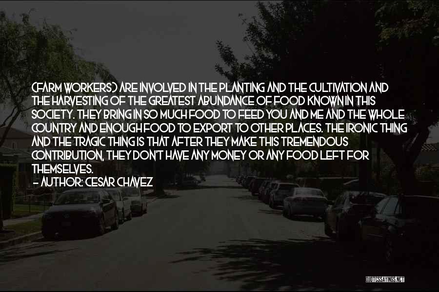 Cesar Chavez Quotes: (farm Workers) Are Involved In The Planting And The Cultivation And The Harvesting Of The Greatest Abundance Of Food Known