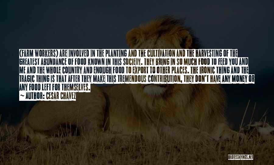 Cesar Chavez Quotes: (farm Workers) Are Involved In The Planting And The Cultivation And The Harvesting Of The Greatest Abundance Of Food Known
