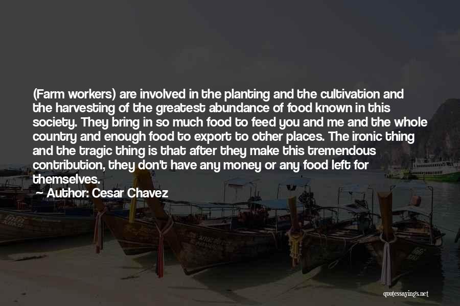 Cesar Chavez Quotes: (farm Workers) Are Involved In The Planting And The Cultivation And The Harvesting Of The Greatest Abundance Of Food Known