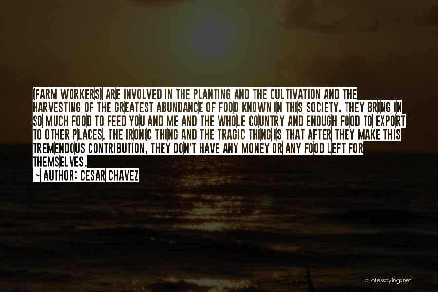 Cesar Chavez Quotes: (farm Workers) Are Involved In The Planting And The Cultivation And The Harvesting Of The Greatest Abundance Of Food Known