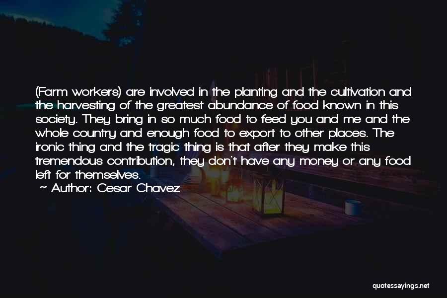 Cesar Chavez Quotes: (farm Workers) Are Involved In The Planting And The Cultivation And The Harvesting Of The Greatest Abundance Of Food Known