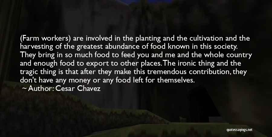 Cesar Chavez Quotes: (farm Workers) Are Involved In The Planting And The Cultivation And The Harvesting Of The Greatest Abundance Of Food Known