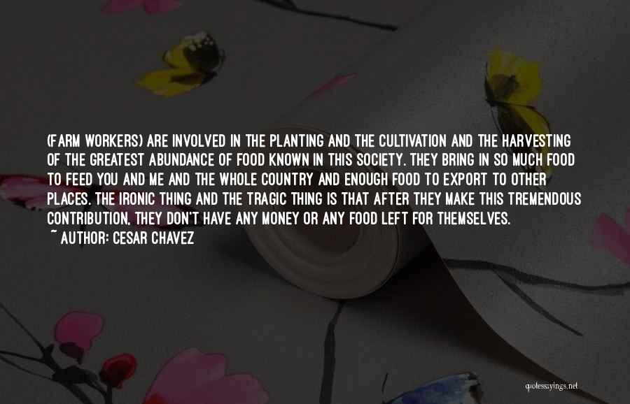 Cesar Chavez Quotes: (farm Workers) Are Involved In The Planting And The Cultivation And The Harvesting Of The Greatest Abundance Of Food Known