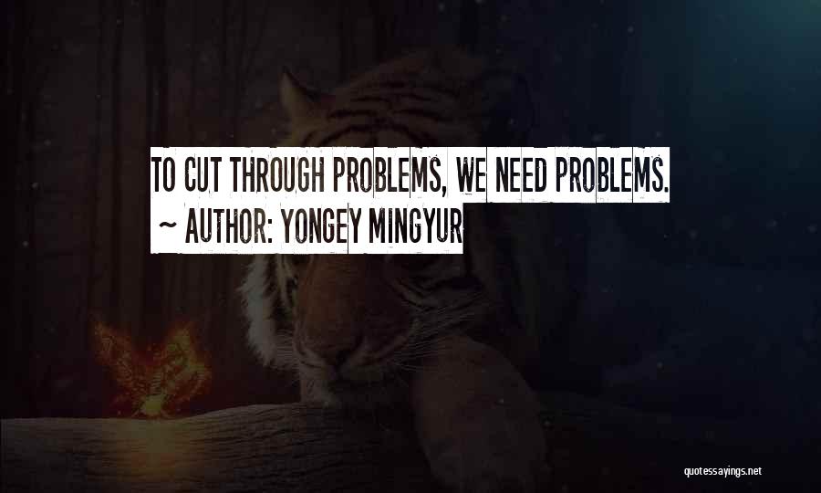 Yongey Mingyur Quotes: To Cut Through Problems, We Need Problems.