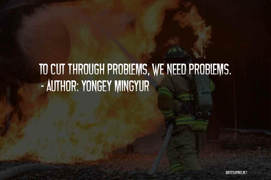 Yongey Mingyur Quotes: To Cut Through Problems, We Need Problems.