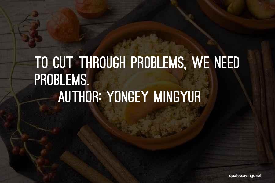 Yongey Mingyur Quotes: To Cut Through Problems, We Need Problems.