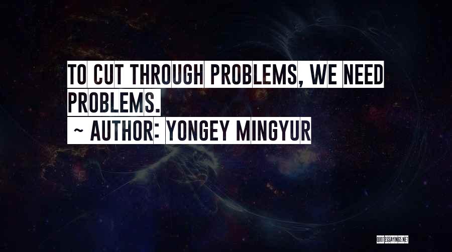 Yongey Mingyur Quotes: To Cut Through Problems, We Need Problems.