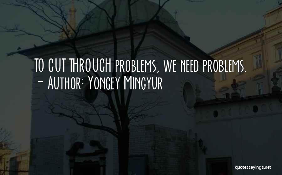 Yongey Mingyur Quotes: To Cut Through Problems, We Need Problems.