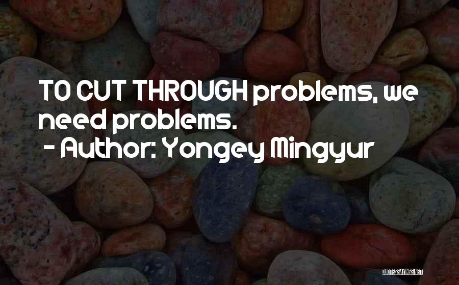 Yongey Mingyur Quotes: To Cut Through Problems, We Need Problems.