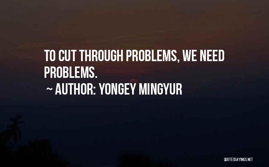 Yongey Mingyur Quotes: To Cut Through Problems, We Need Problems.