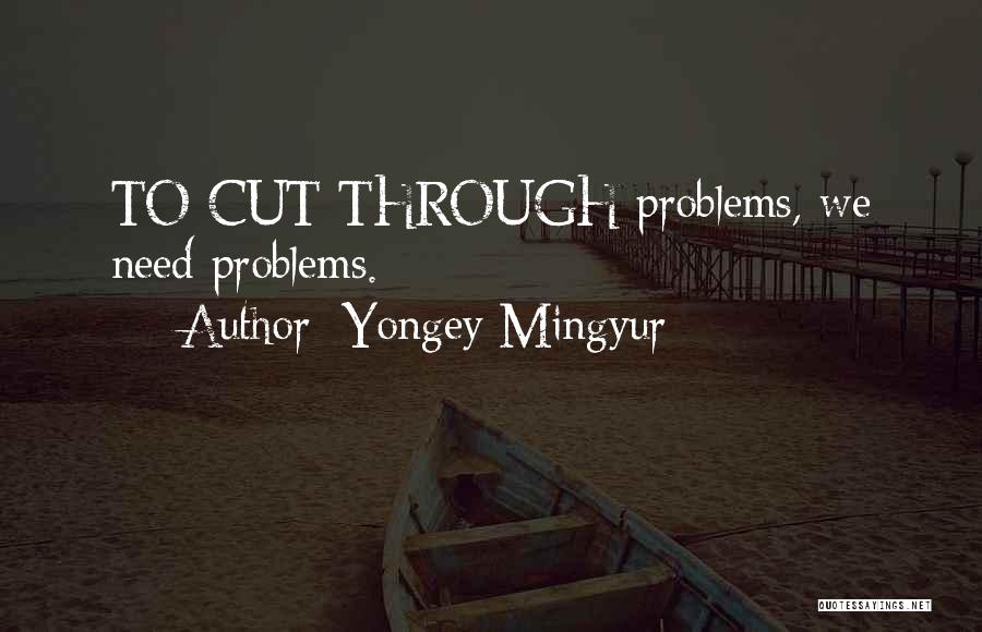 Yongey Mingyur Quotes: To Cut Through Problems, We Need Problems.