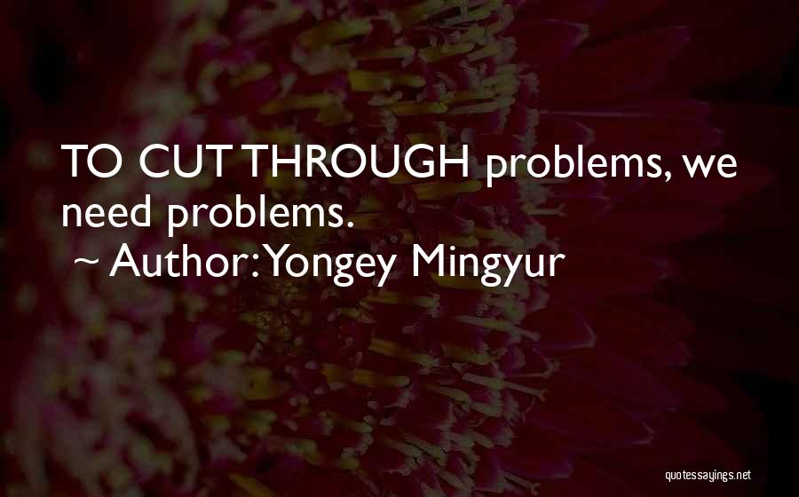 Yongey Mingyur Quotes: To Cut Through Problems, We Need Problems.