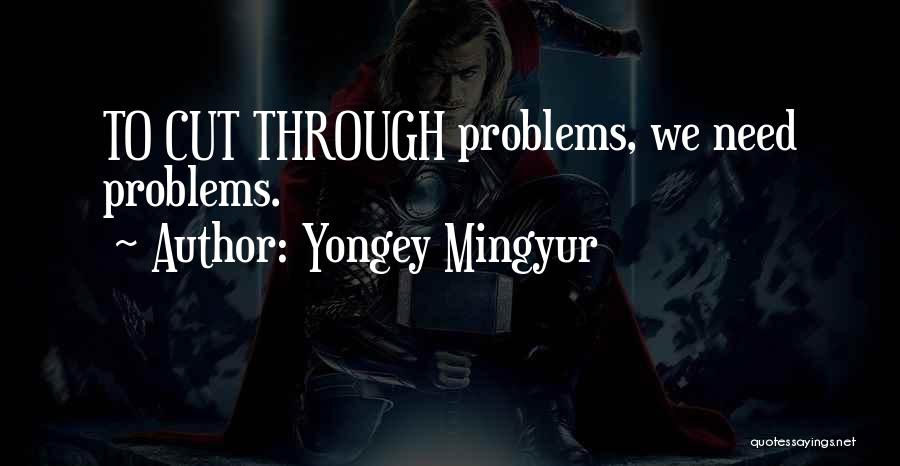 Yongey Mingyur Quotes: To Cut Through Problems, We Need Problems.