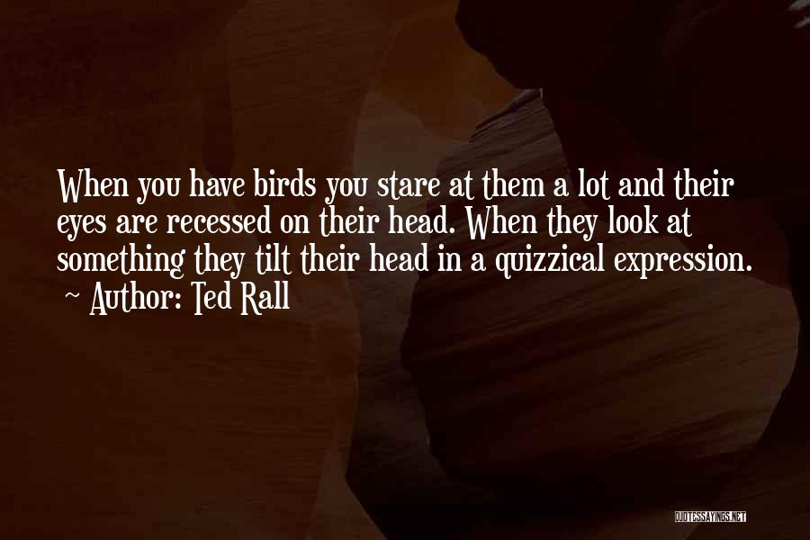 Ted Rall Quotes: When You Have Birds You Stare At Them A Lot And Their Eyes Are Recessed On Their Head. When They