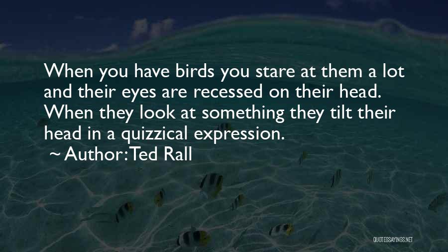 Ted Rall Quotes: When You Have Birds You Stare At Them A Lot And Their Eyes Are Recessed On Their Head. When They